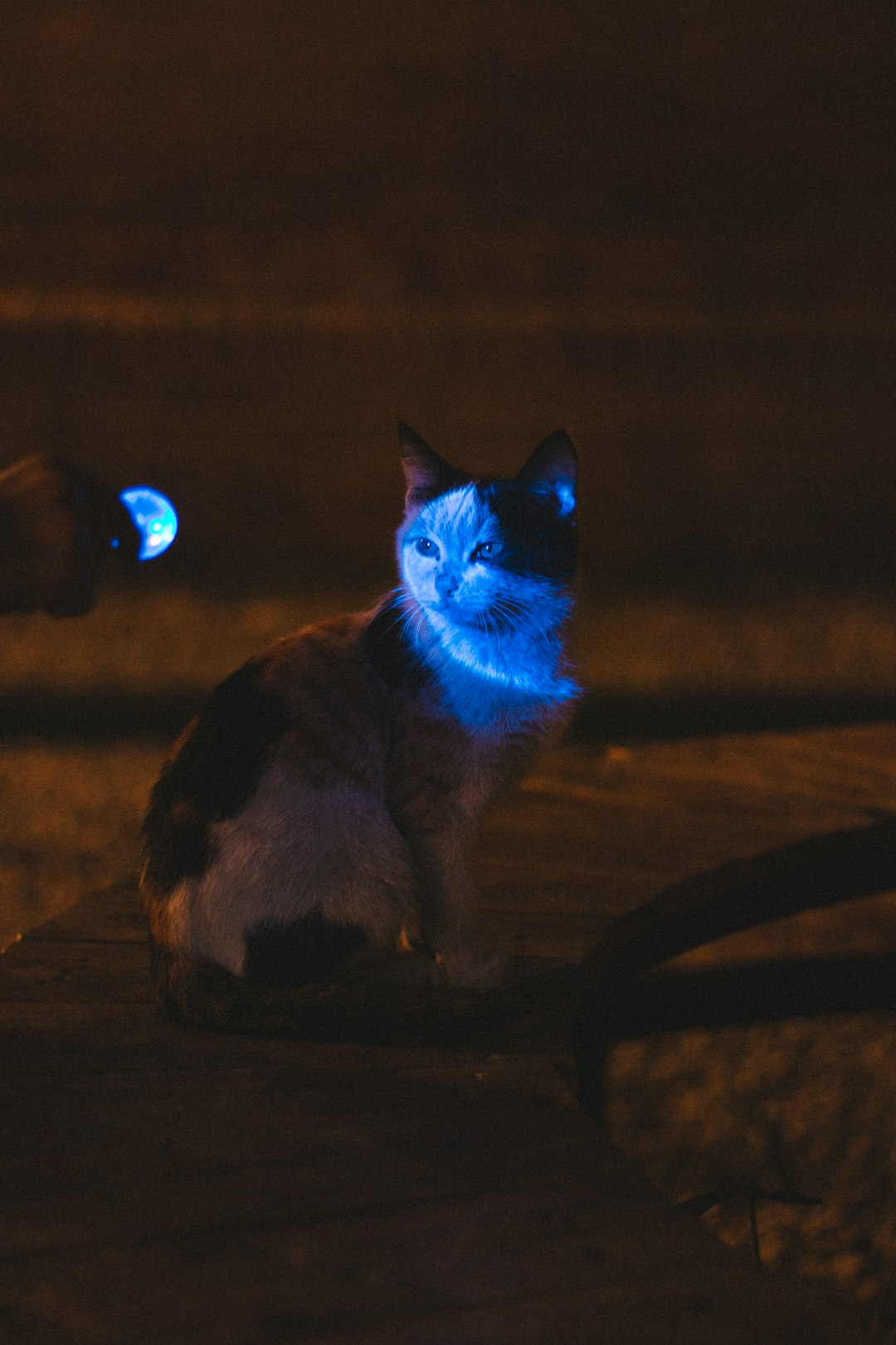 The Science Behind the Glow (Image Credits: Unsplash)