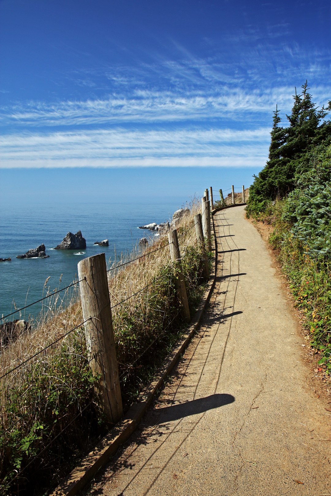 Call to Action (Image Credits: Unsplash)