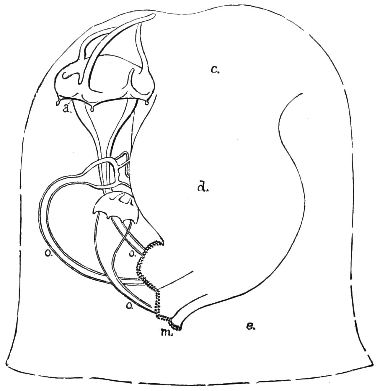 Conclusion (Image Credits: Wikimedia)