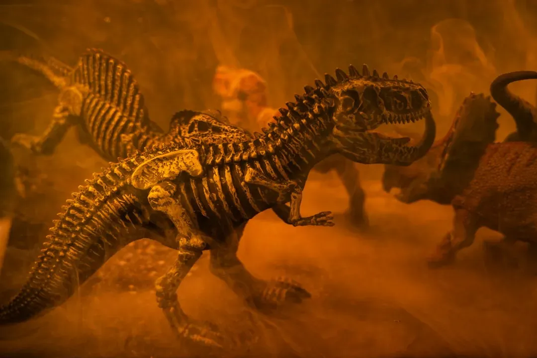 #10 - The Aptian Extinction Event's Missing Trigger (Image Credits: Unsplash)
