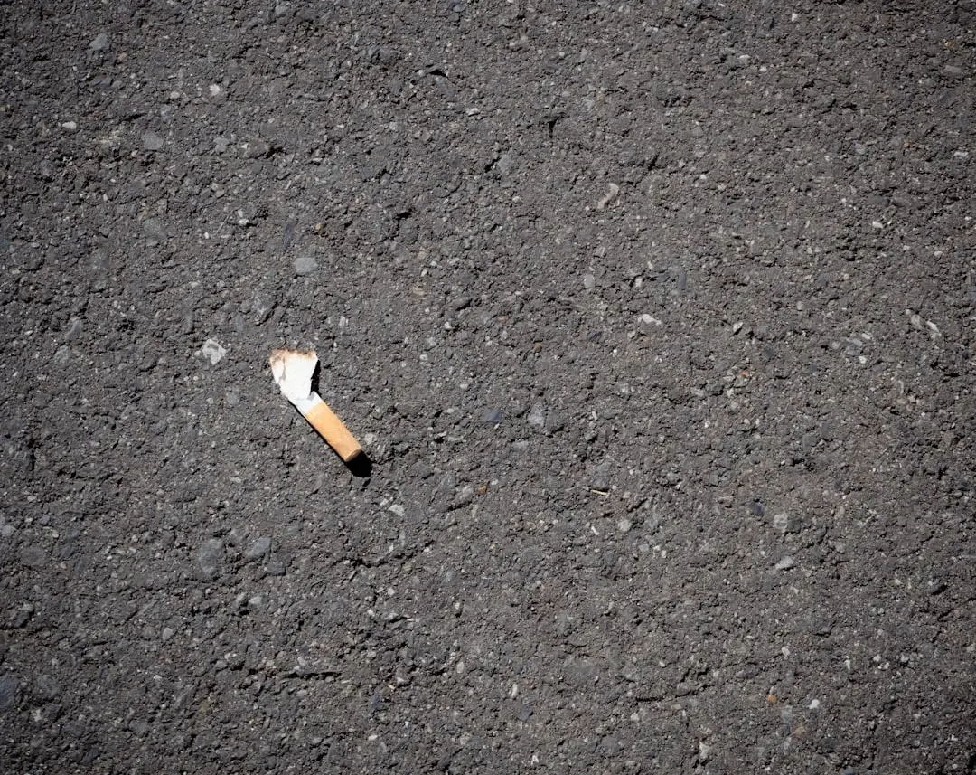 11. Cigarette Butts and Small Bits of Trash (Image Credits: Unsplash)