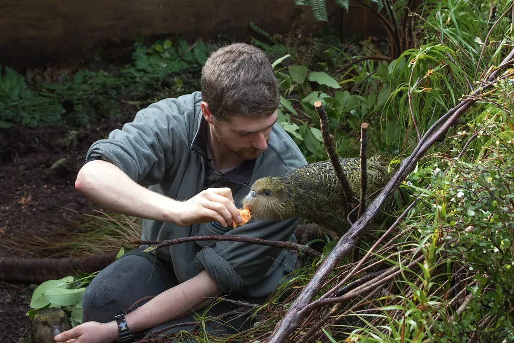 The High-Tech Rescue Mission on Remote Islands (kimberley_collins, Flickr, CC BY 2.0)