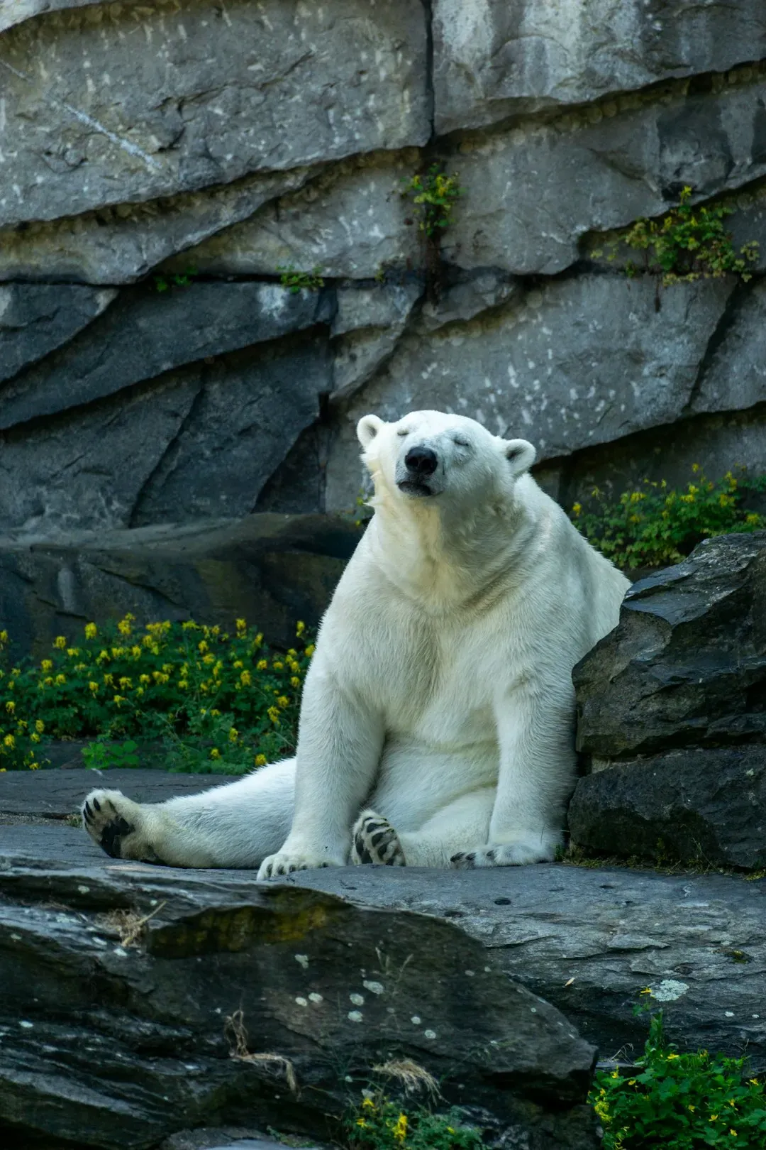 The Hidden Health Risks in a Warming Genome (Image Credits: Unsplash)