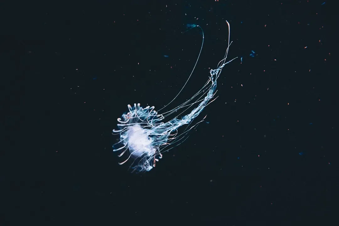 Why These Alien-Like Creatures Matter to Us (Image Credits: Unsplash)