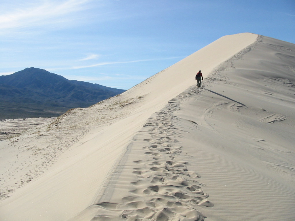 Kelso Dunes, California (Image Credits: Wikimedia)