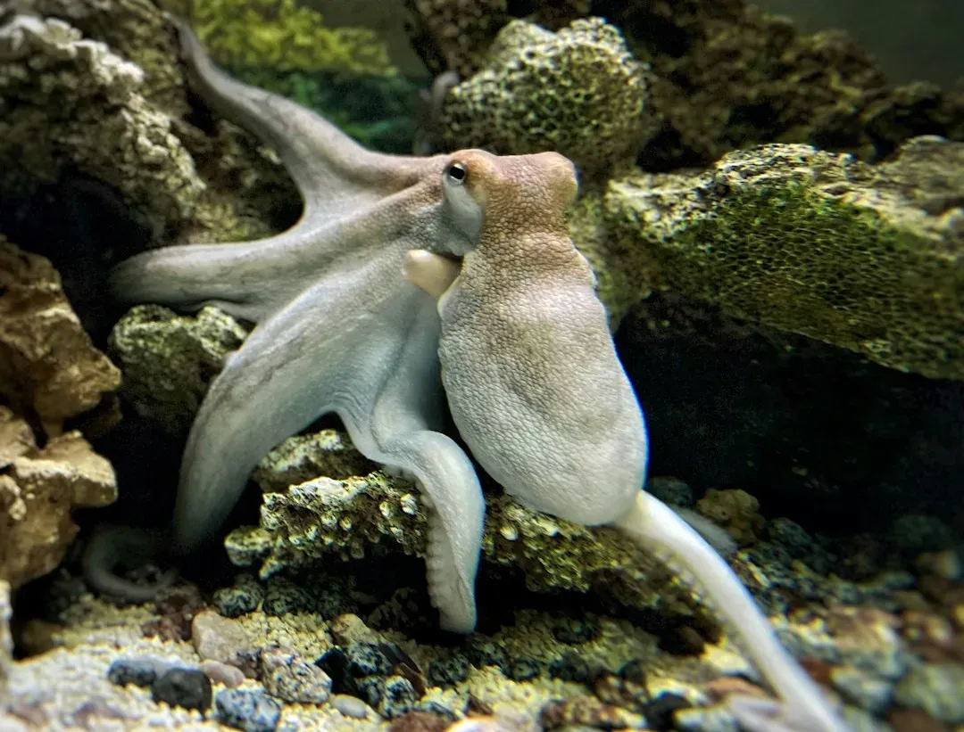 Curiosity, Play, and Personality (Image Credits: Unsplash)