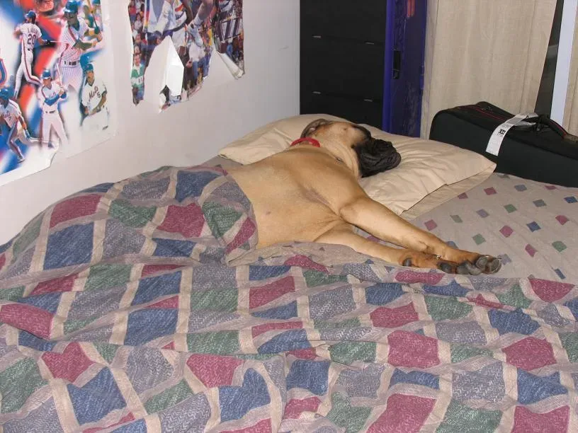 The Science Of Cortisol: What “Lower At Night” Really Means (By Met20a, CC BY-SA 3.0)