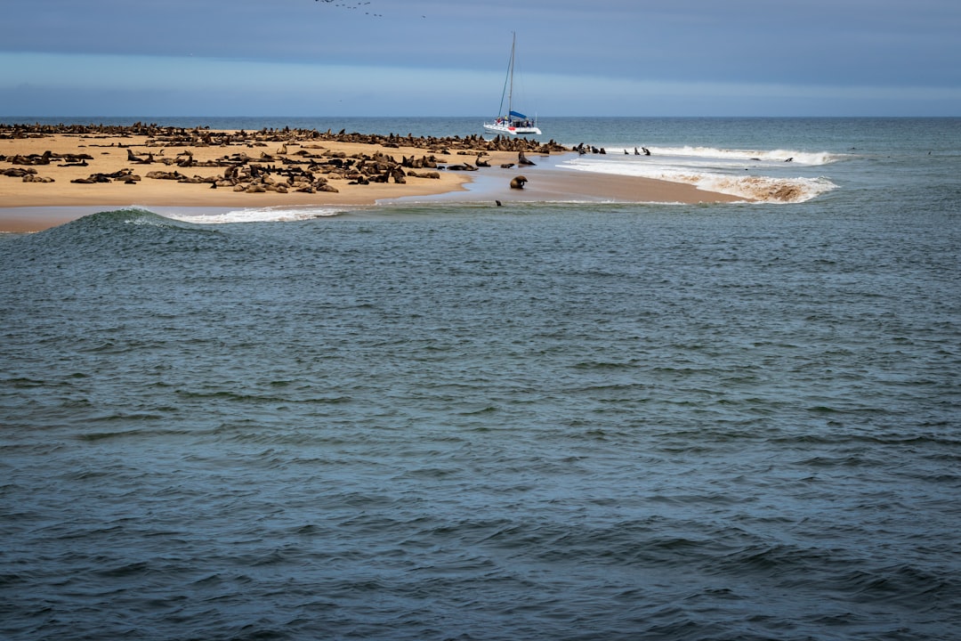 Cape Henlopen, Delaware - Eddies, Breakwaters, and Slow-Turned Frost (Image Credits: Unsplash)