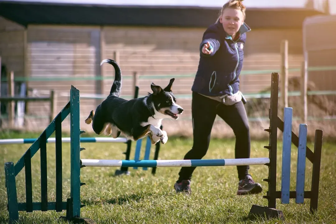 2. Trading Dominance Myths for Evidence-Based Training (Image Credits: Unsplash)