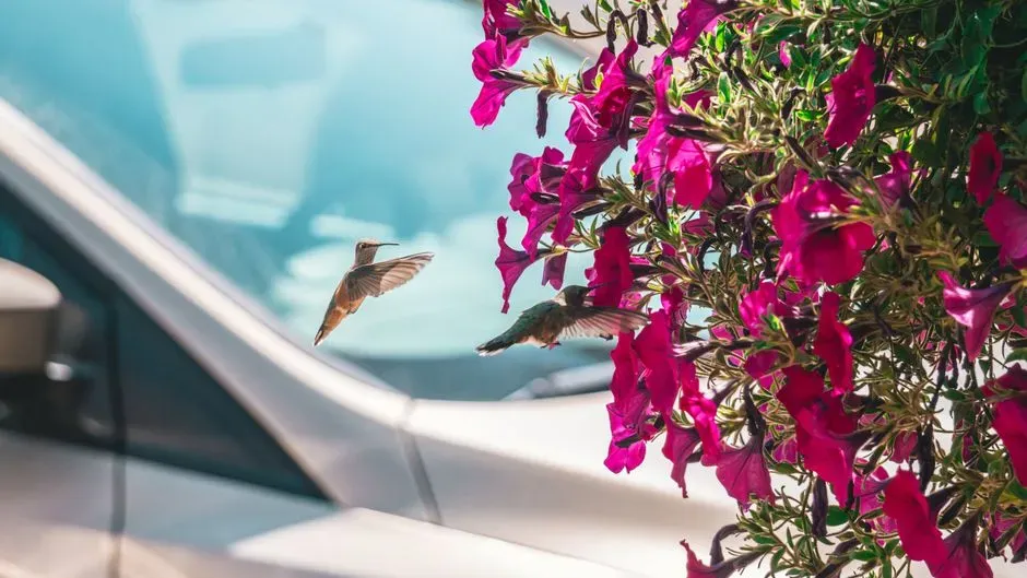 #5 - GPS-Free Mental Mapping of Thousands of Flowers (Image Credits: Pexels)