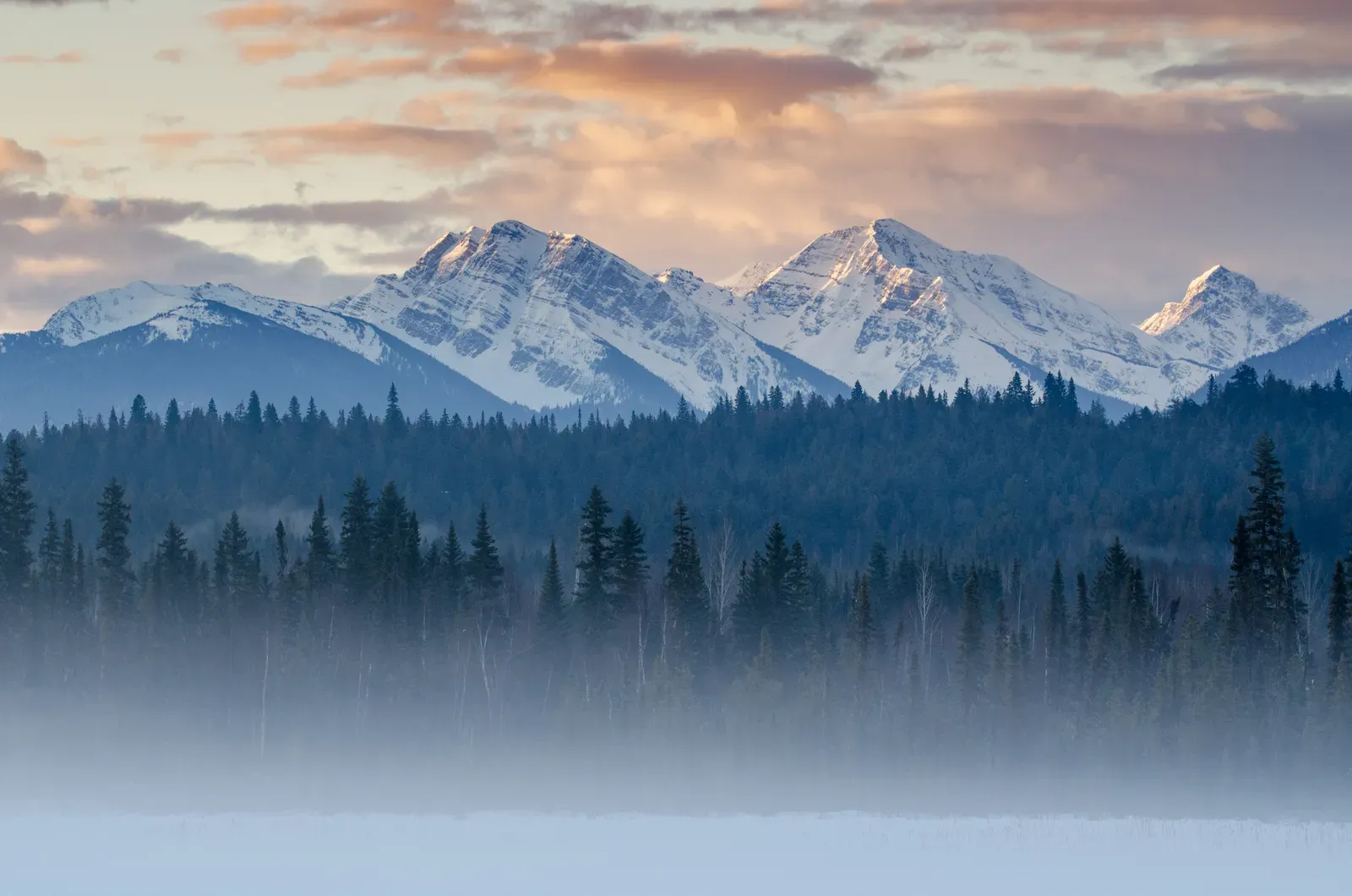 The Future Landscape: Watching a Slow Experiment in Real Time (Image Credits: Wikimedia)