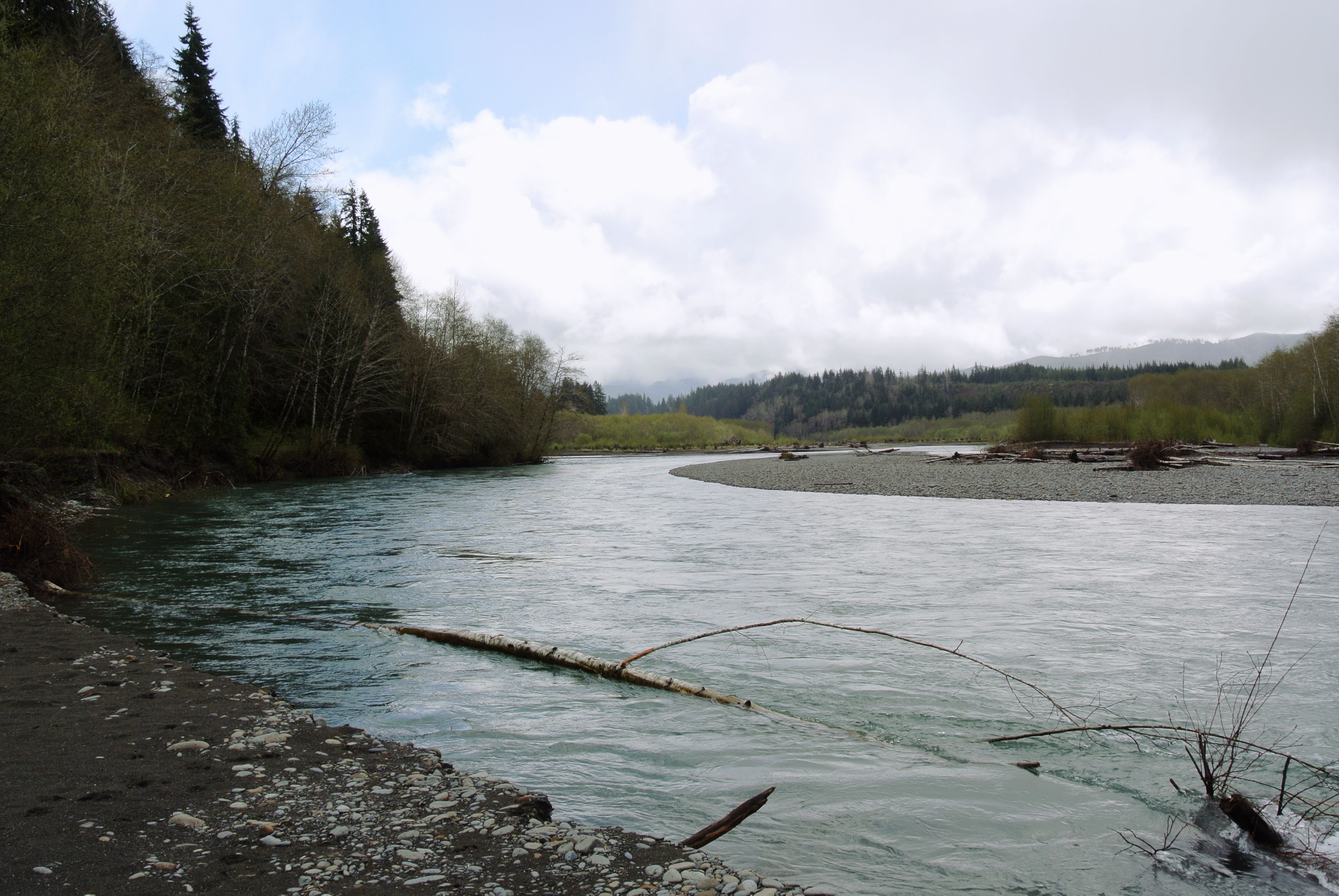 Hoh River, Washington (Image Credits: Wikimedia)