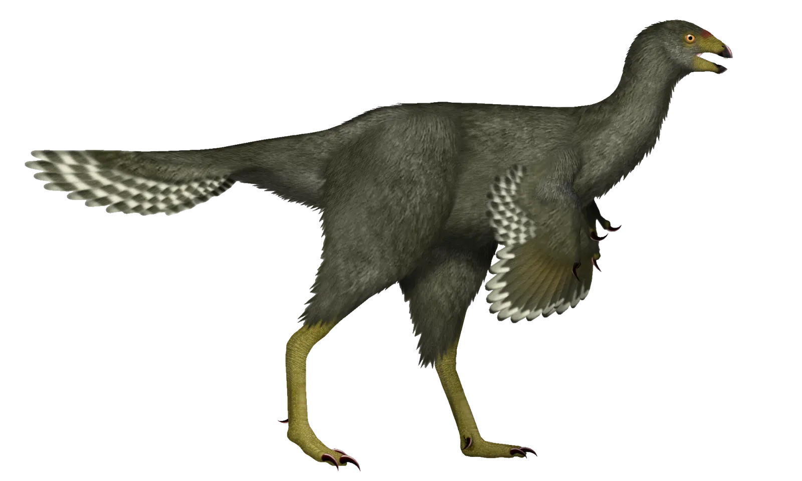 4. Caudipteryx: The Little Peacock‑Dino With a Tail Fan (By TotalDino, CC BY-SA 4.0)