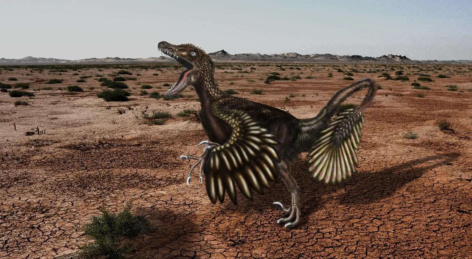 1. Velociraptor: From Scaly Movie Villain to Murderous Bird (Image Credits: Wikimedia)