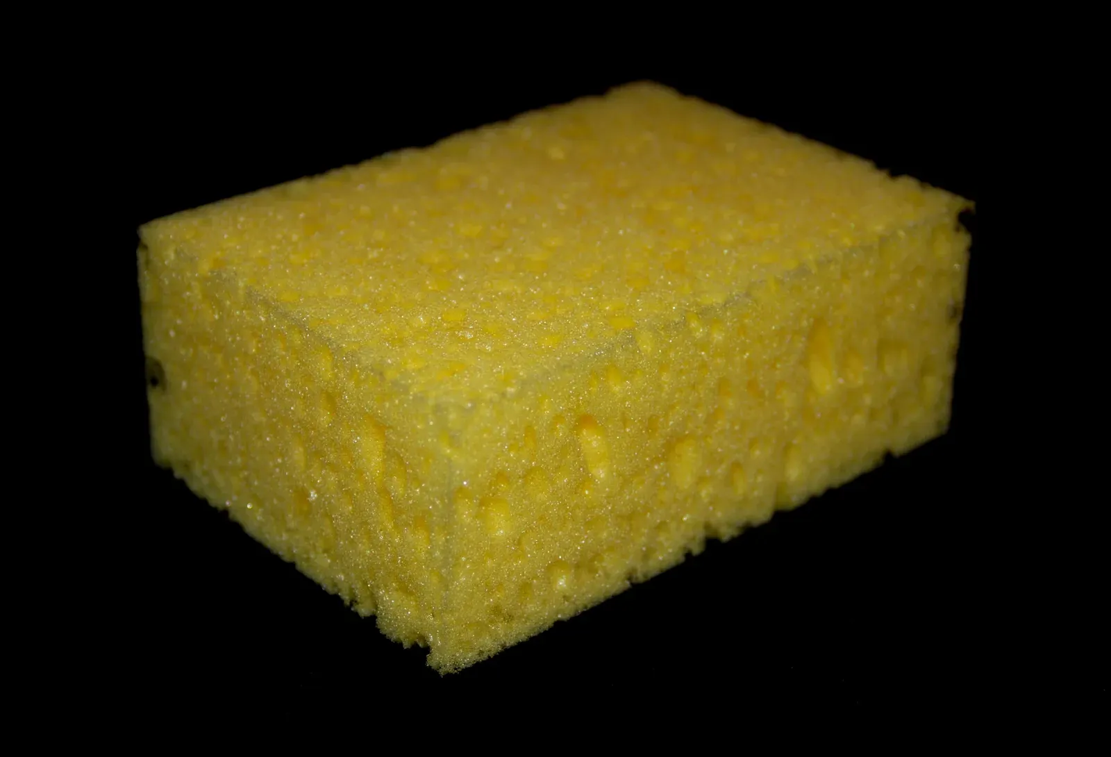 Kitchen Sponges Are Engineered Water-Sucking Labyrinths (Image Credits: Wikimedia)