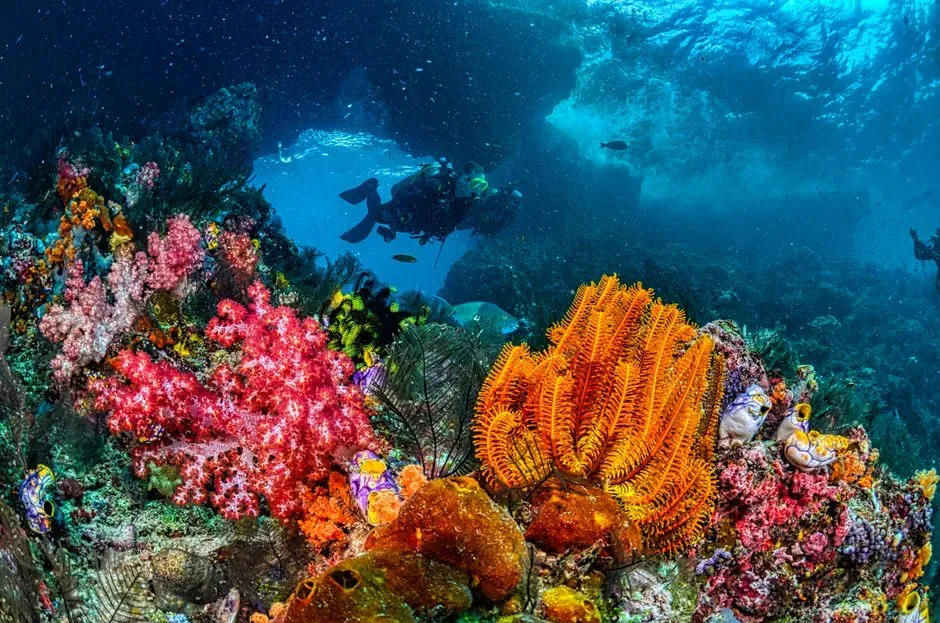#6 - The Submerged Caves Of Palawan, Philippines: From Rock Shelters To Reefs (Image Credits: Pexels)