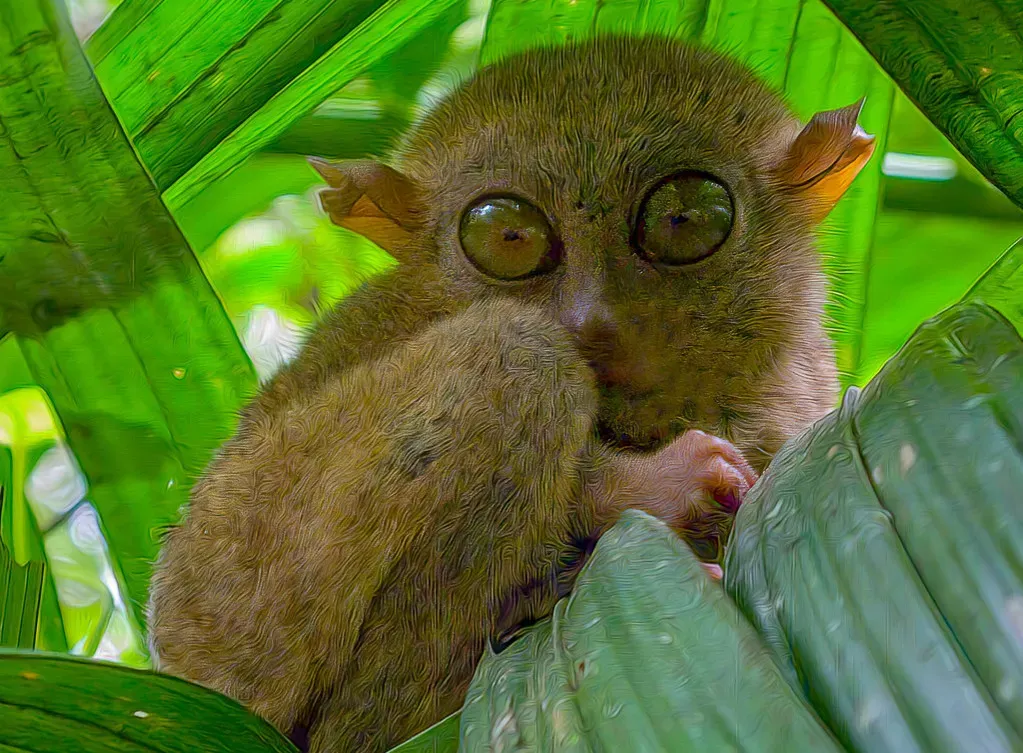 De‑Extinction vs. Protecting the Species We Still Have (Image Credits: Flickr)