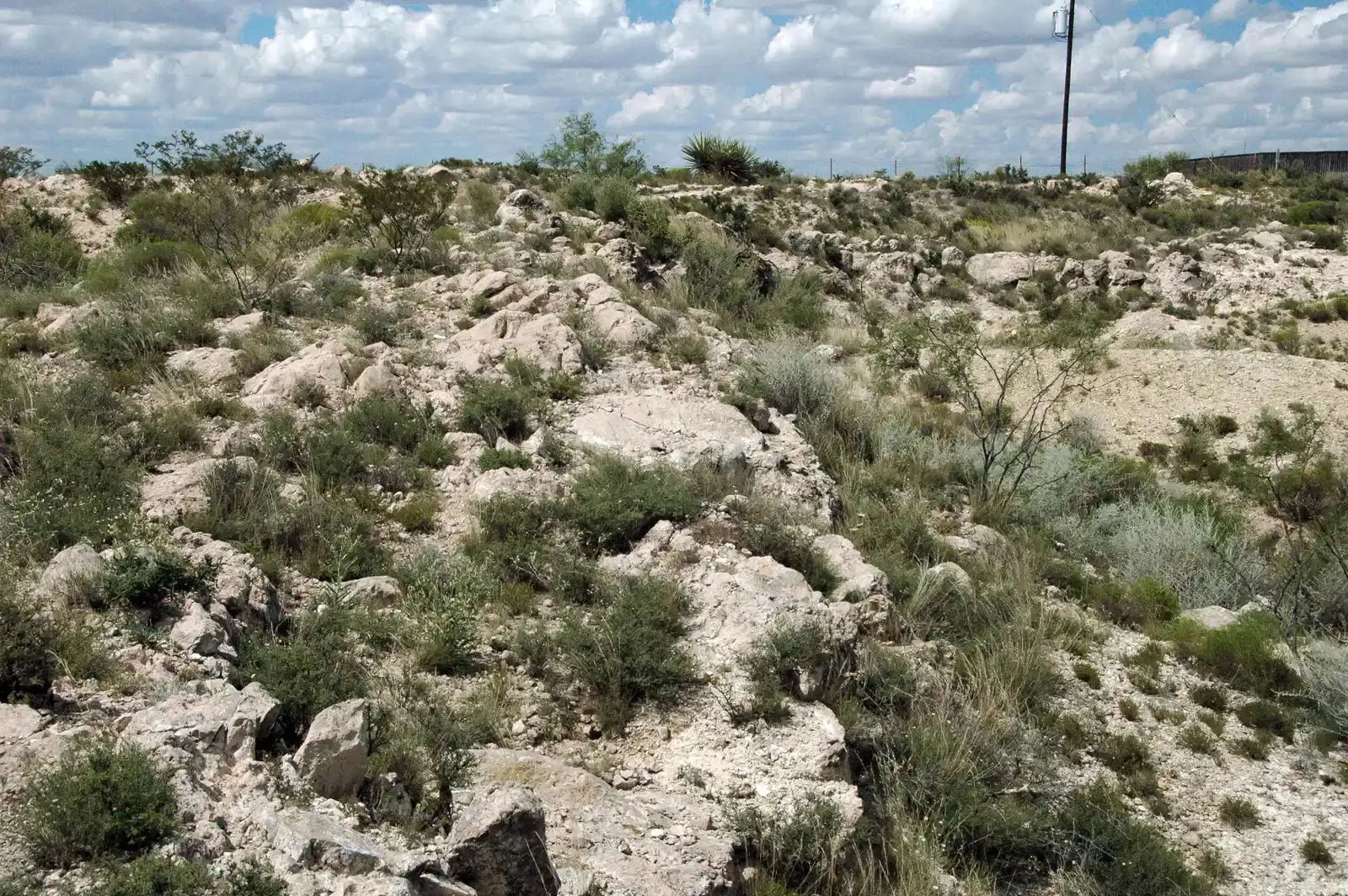 How Impacts Have Steered Climate and Evolution (By James St. John, CC BY 2.0)