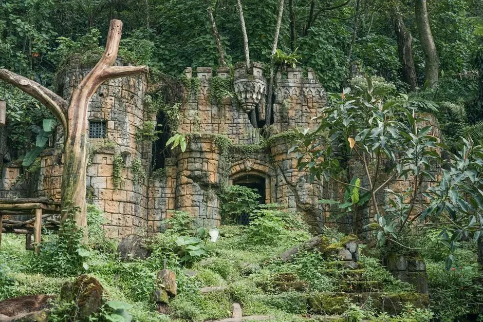Conclusion: Rethinking What A “Jungle” Really Hides (Image Credits: Pexels)
