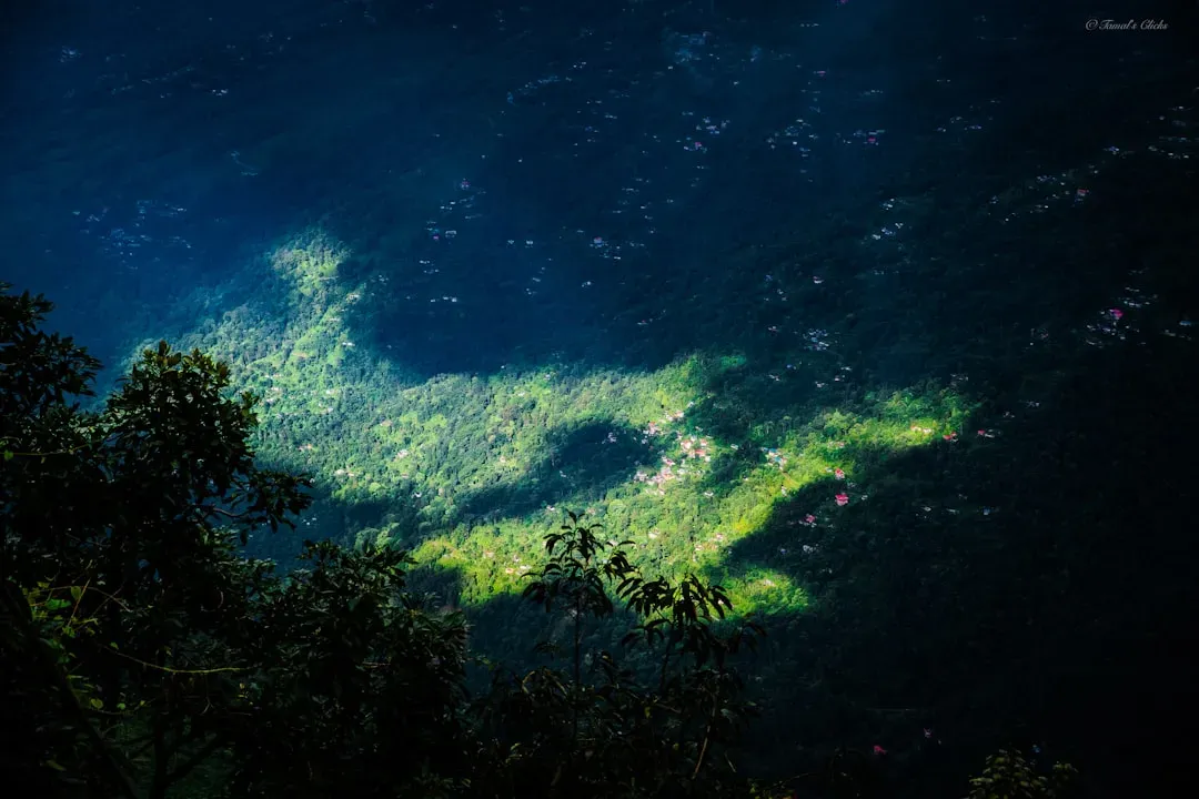 Freshwater Bioluminescence Is Surprisingly Rare (Image Credits: Unsplash)