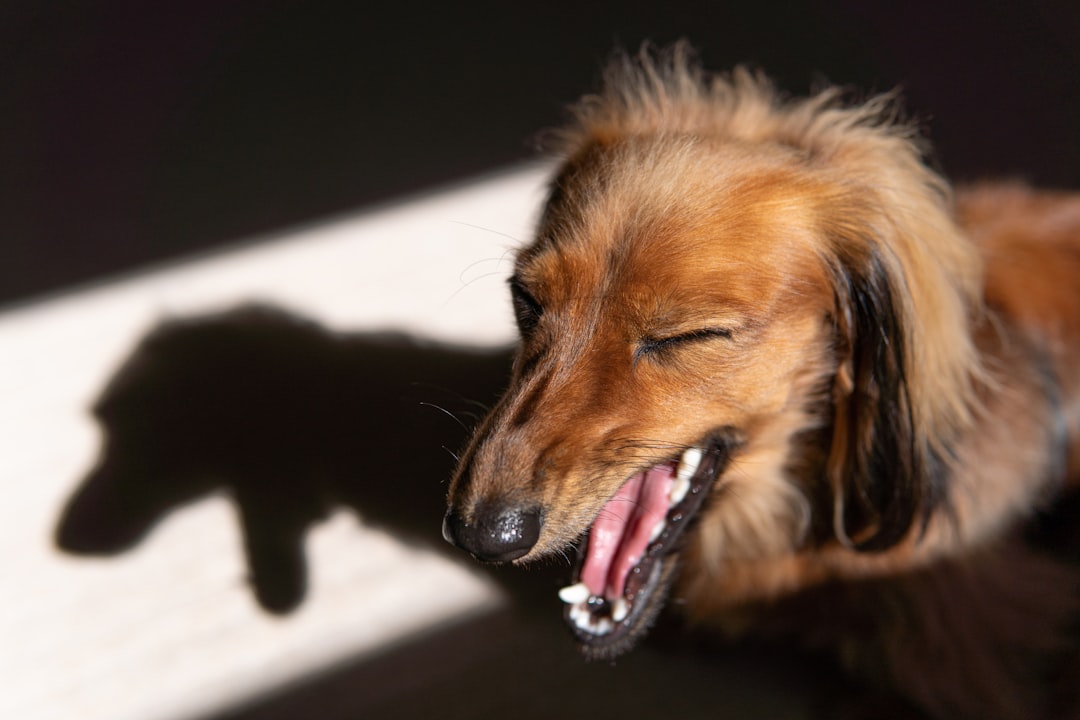 The Biological Clock That Never Stops Ticking (Image Credits: Unsplash)