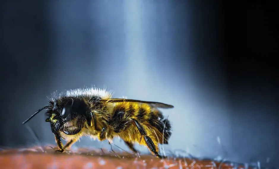 3. Honeybees and the Dance That Speaks a Full Language (Image Credits: Pexels)