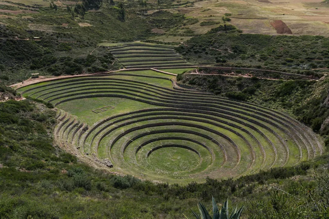 Farmers, Foragers, and the Birth of Complex Societies (Image Credits: Unsplash)