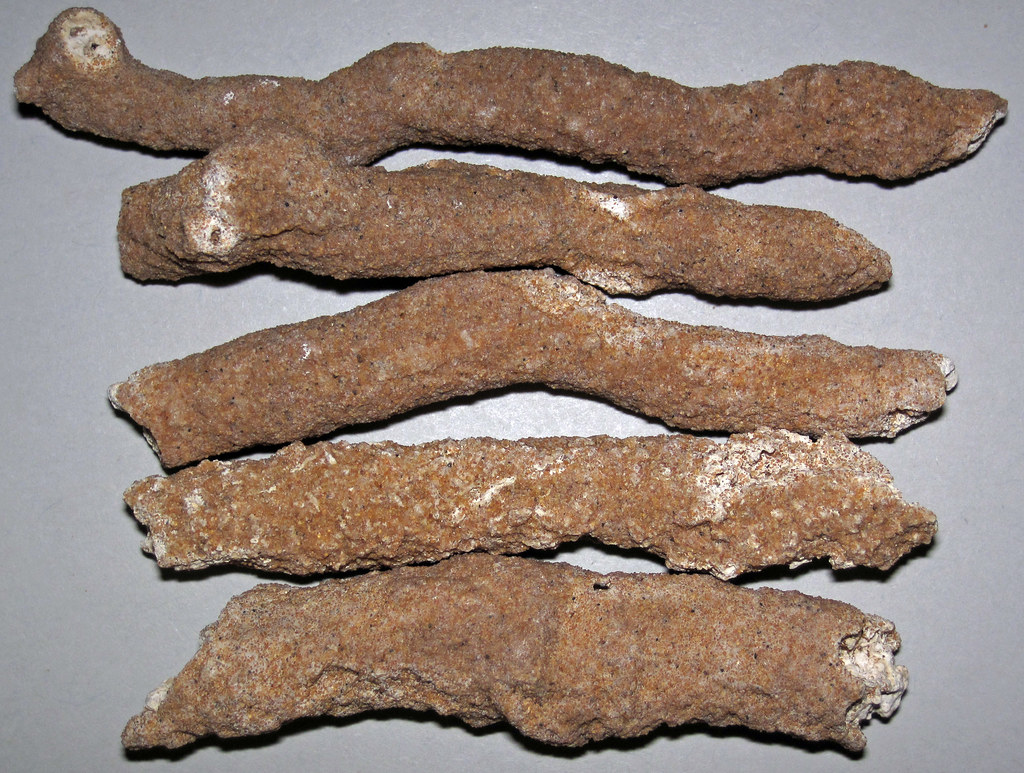 Lightning-Made Glass: Nature's Fulgurites (Image Credits: Flickr)