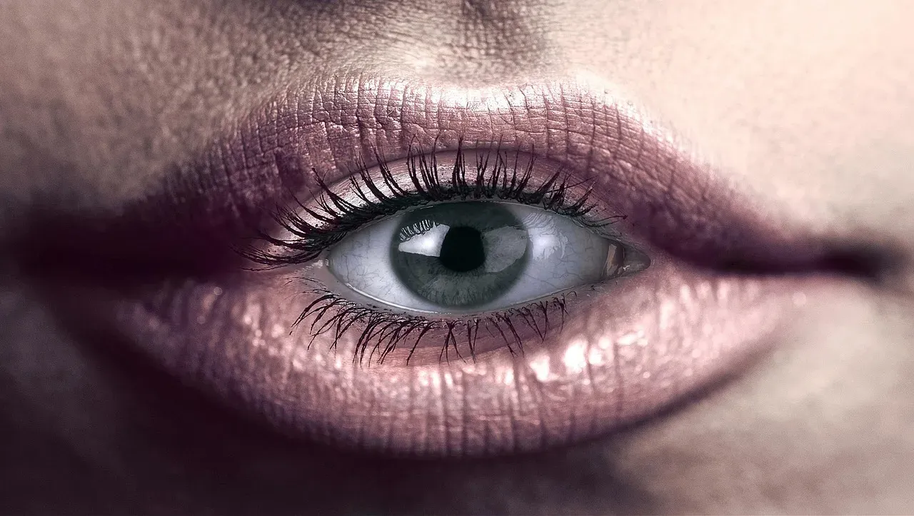 Reality Isn't Real Until You Observe It (Image Credits: Pixabay)