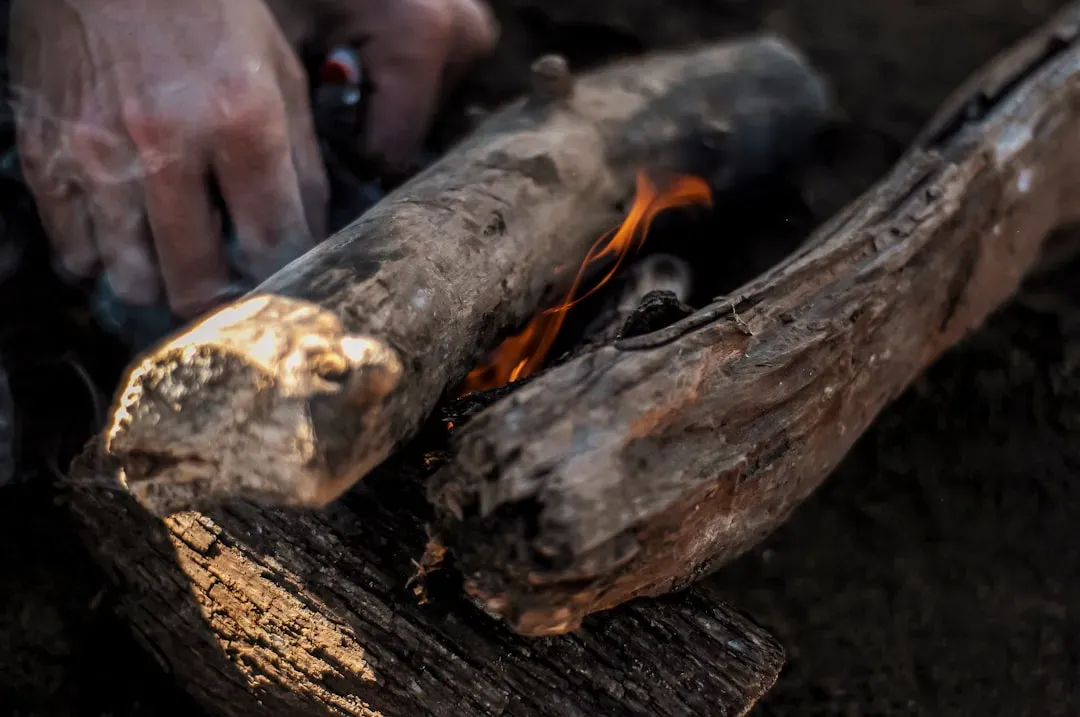 Fire, Tools, and the Expanding Human Brain (Image Credits: Unsplash)