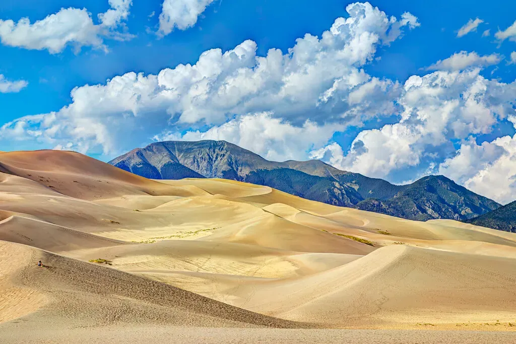 The Relentless Power Of Wind: More Than Just A Breeze (Image Credits: Flickr)