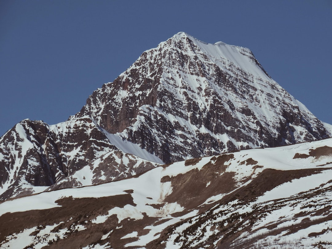 The Ötzi Discovery That Changed Everything (Image Credits: Unsplash)