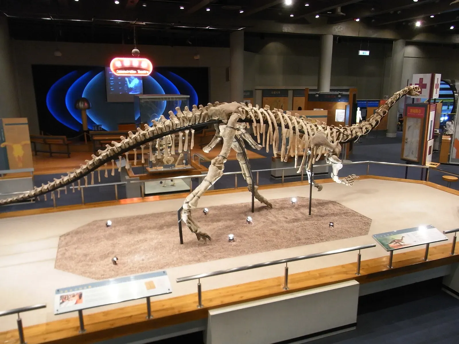 #9 - The "Complete" Dinosaur Skeleton That's Actually a Patchwork of Strangers (By Miranorastt, CC BY-SA 3.0)