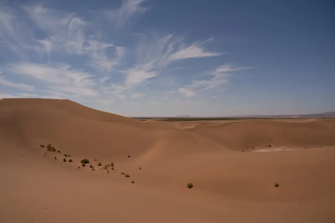 The Hidden Clues Beneath the Sand (Image Credits: Unsplash)