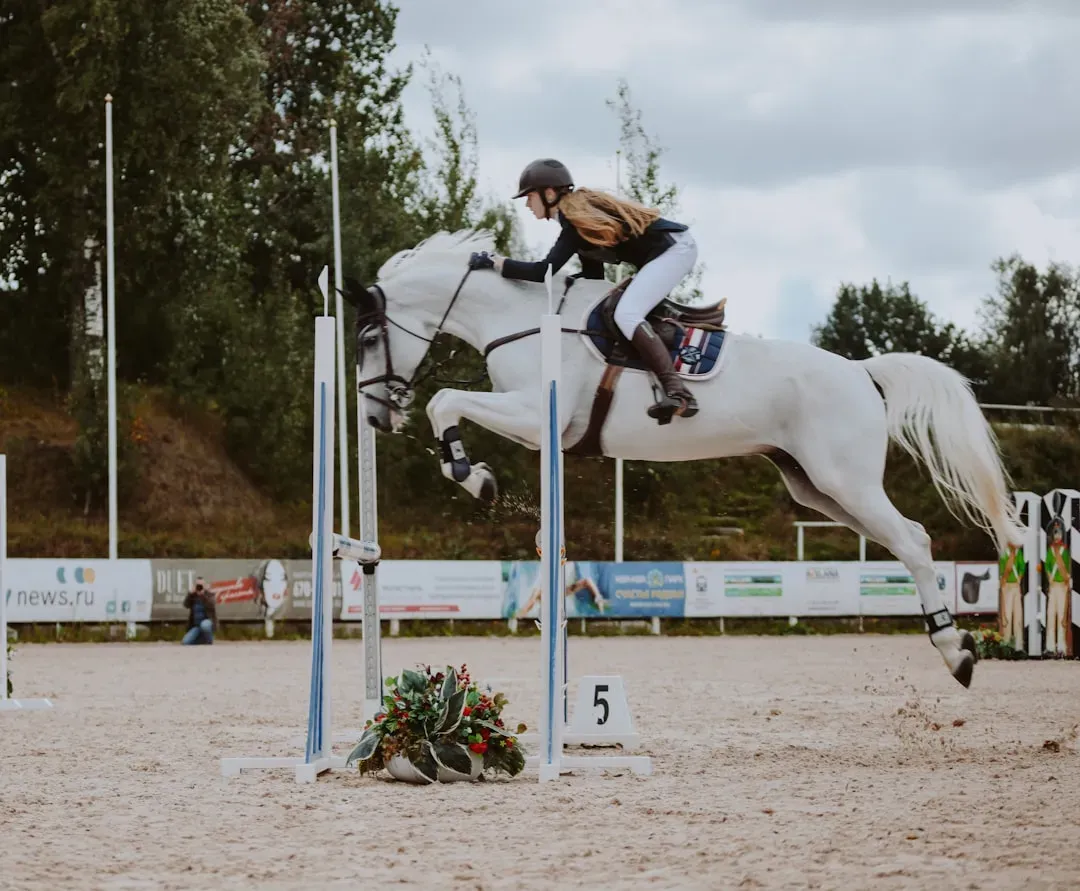 Identity Shift: From “Person Who Rides” to “Horse Person” (Image Credits: Unsplash)