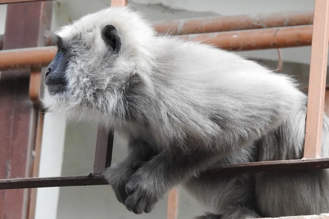 Conclusion: Rethinking What It Means to Be “Smart” (Image Credits: Unsplash)