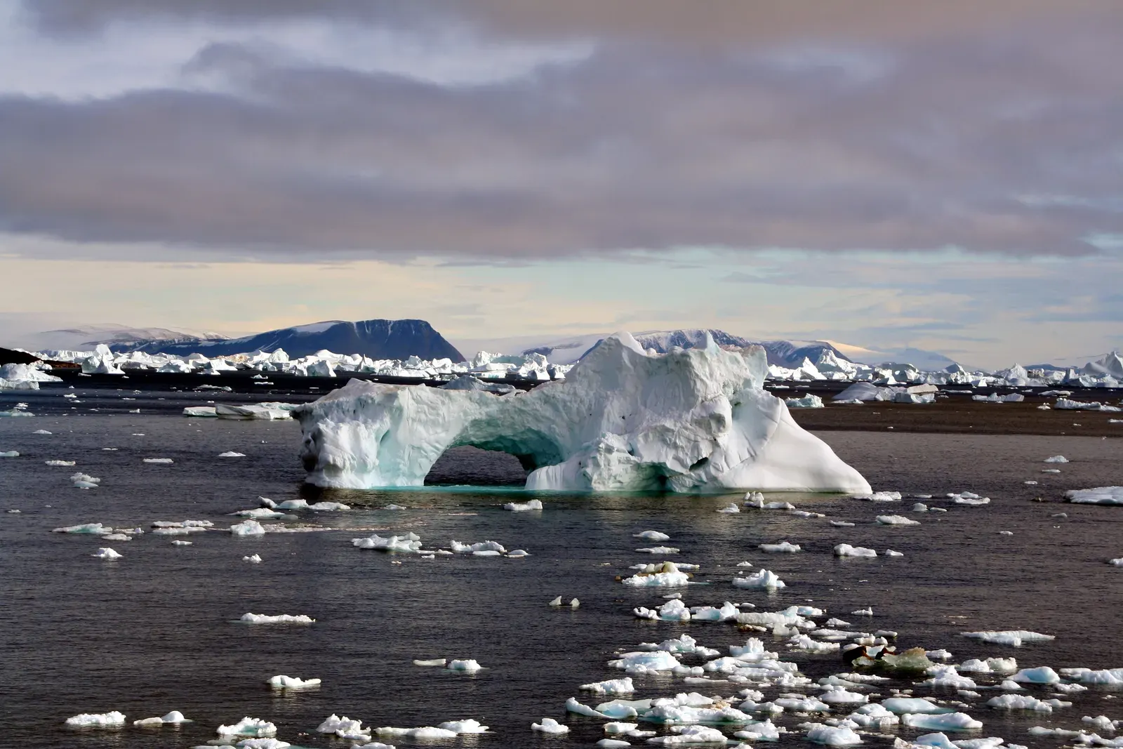 The Final Chapter in the Iceberg Graveyard (Image Credits: Wikimedia)