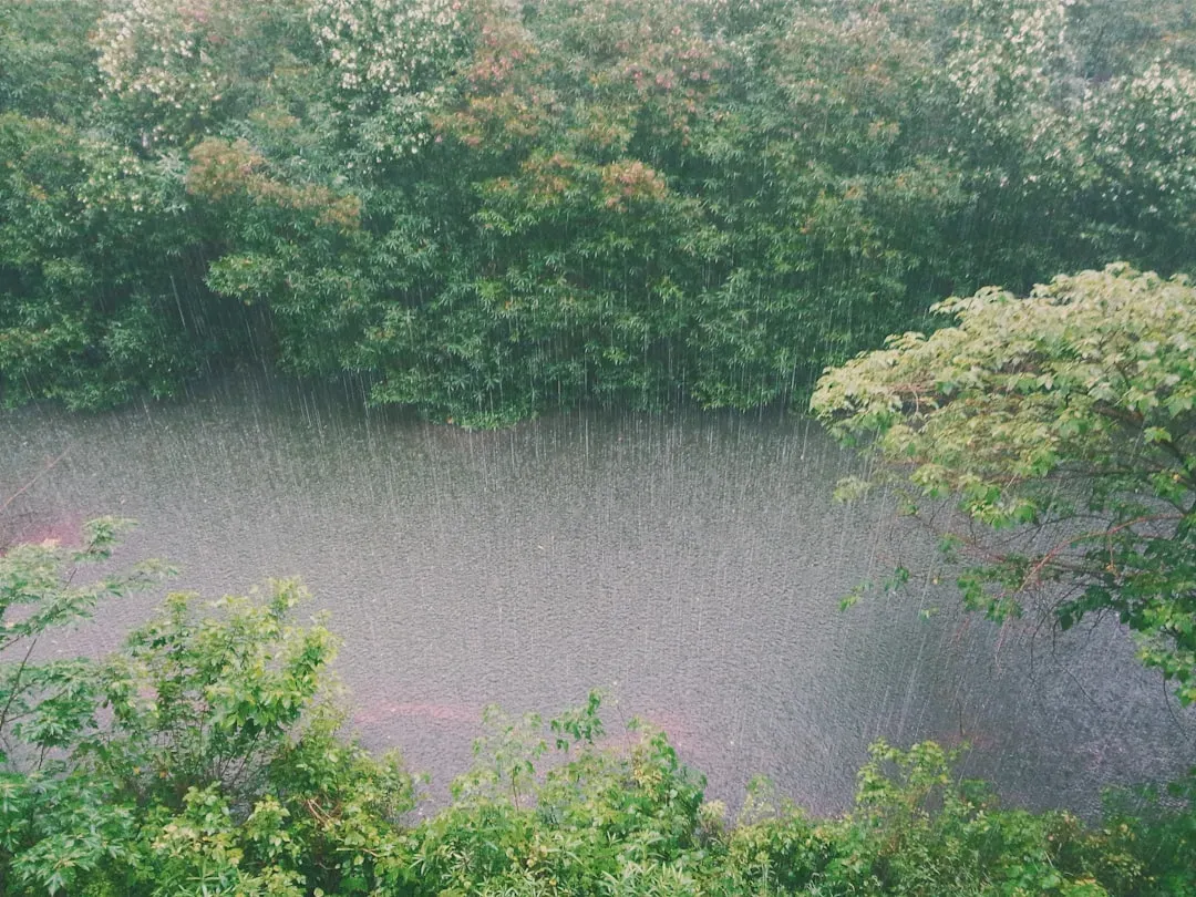 Pisces: The Dreamy Rain Romantic (Image Credits: Unsplash)
