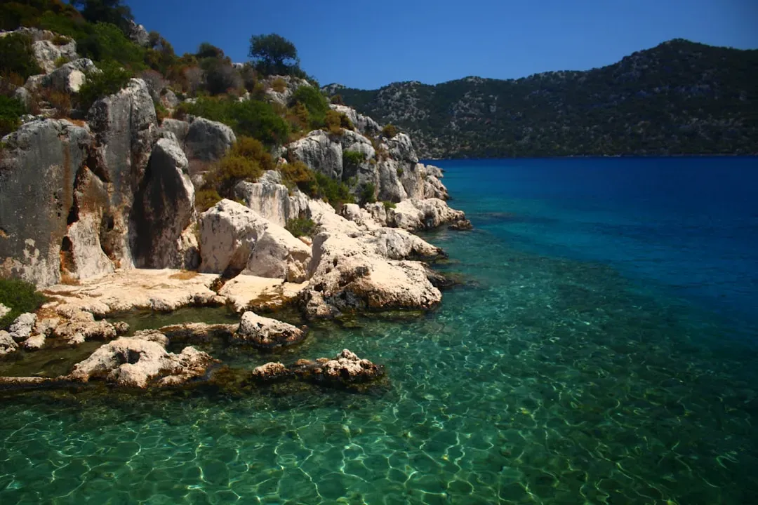 Why It Matters: Rethinking Civilizations, Risk, and Our Own Future (Image Credits: Unsplash)