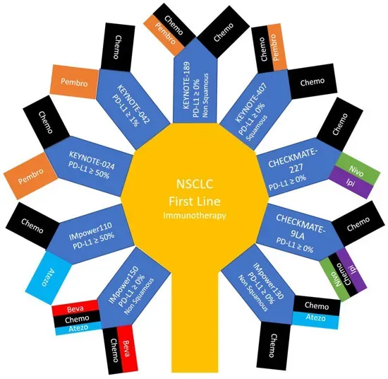 7. Novel Immunotherapy Compounds Target Multiple Immune Cell Types (Image Credits: Wikimedia)