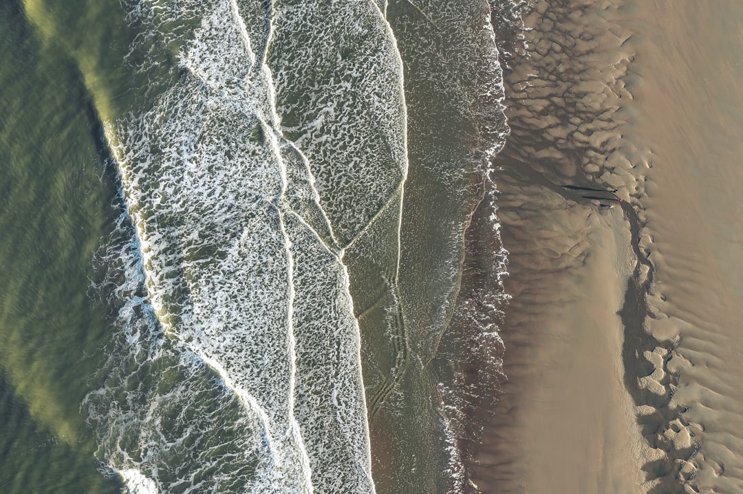 Aries (March 21 - April 19): The Gulf Stream's Fierce Rush (Image Credits: Unsplash)