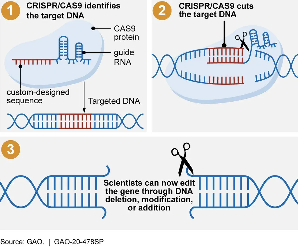 1. CRISPR Gene Editing Is Rewriting Genetic Destiny (Image Credits: Flickr)