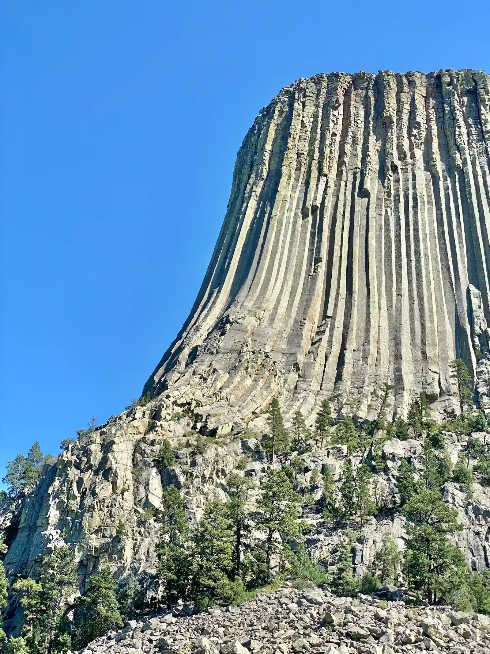 Devils Tower, Wyoming: A Magma Column Frozen in Mid-Rise (Image Credits: Wikimedia)