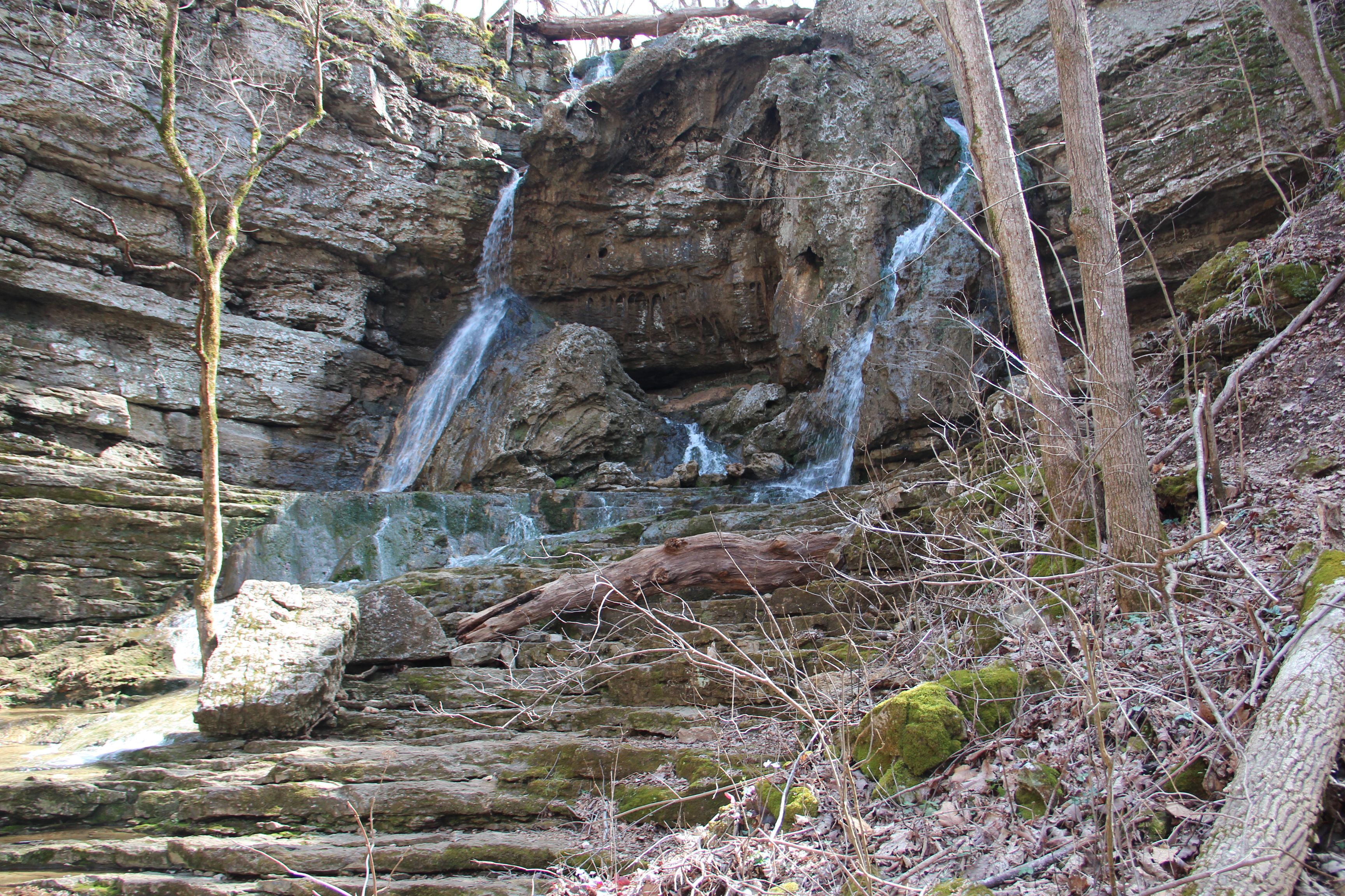 Pocket Branch Falls, Georgia - The Cold-Water Tufa Builder (Image Credits: Wikimedia)