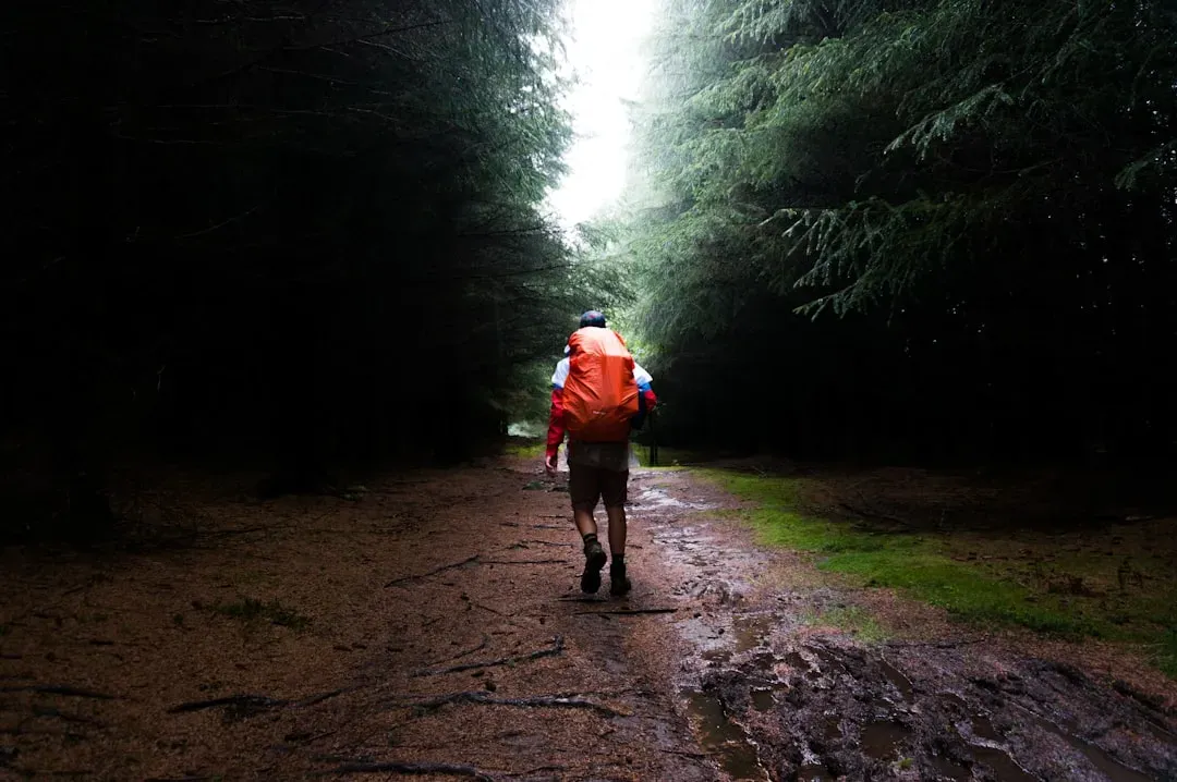 6. The Group Member Who Steps Ahead - or Falls Behind (Image Credits: Unsplash)