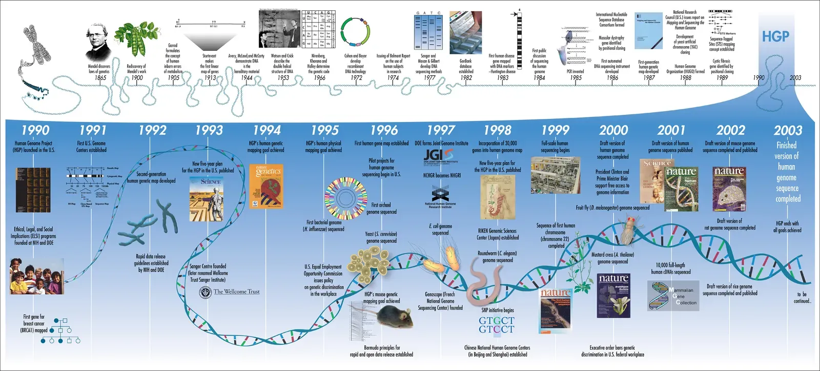 #1 - Race Is Not a Biological Essence Written in Our Genes (Human Genome Project Timeline, CC BY 2.0)