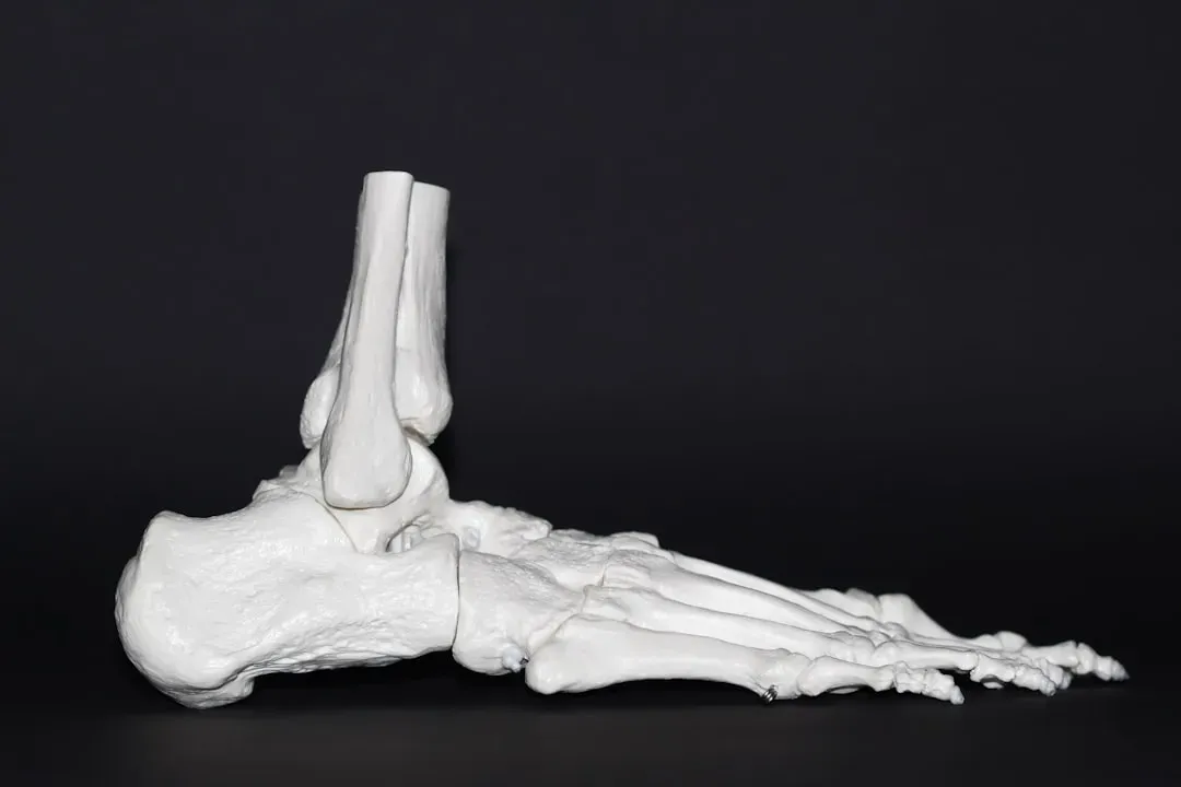 Bone: The Material That Gets Stronger After Breaking (Image Credits: Unsplash)
