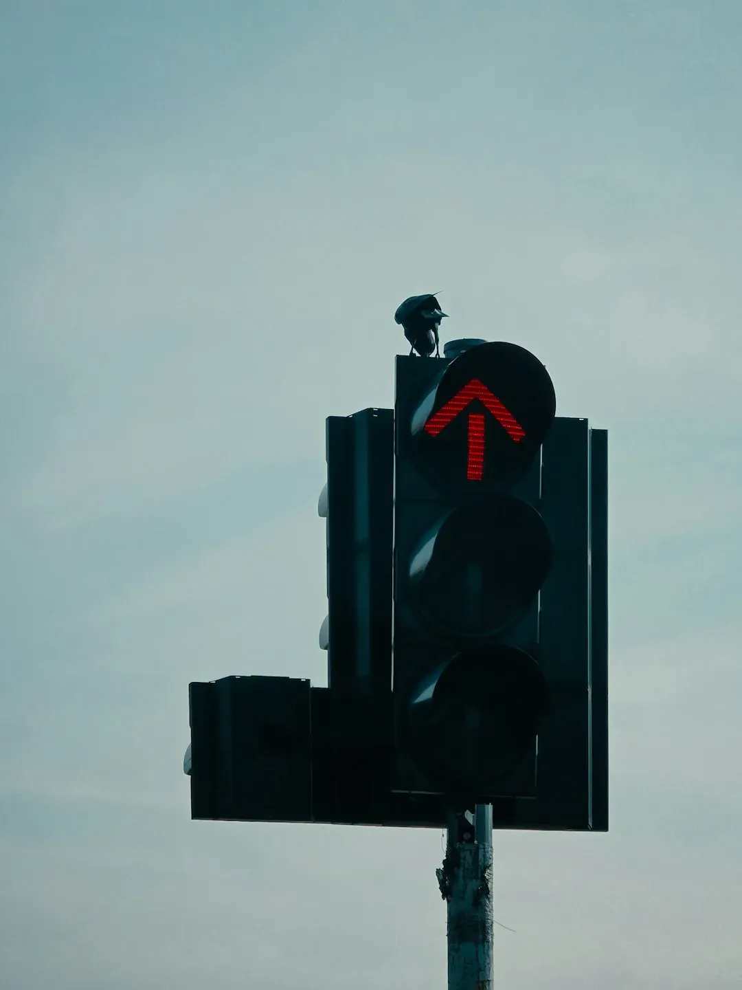 #12 - Turning Red Lights Into Nutcrackers (Image Credits: Unsplash)