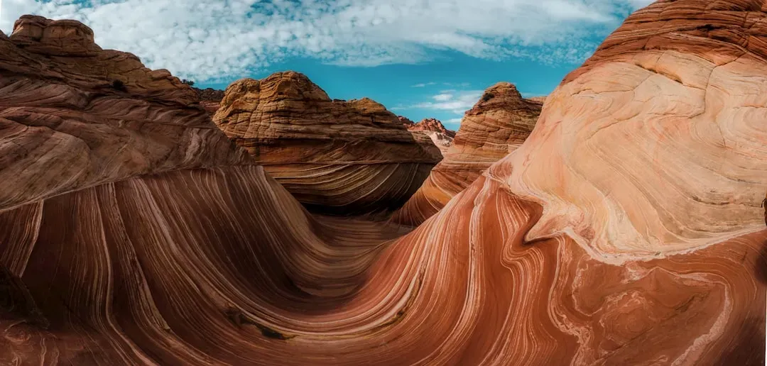 The Wave in Arizona: Nature's Most Surreal Sandstone Sculpture (Image Credits: Unsplash)