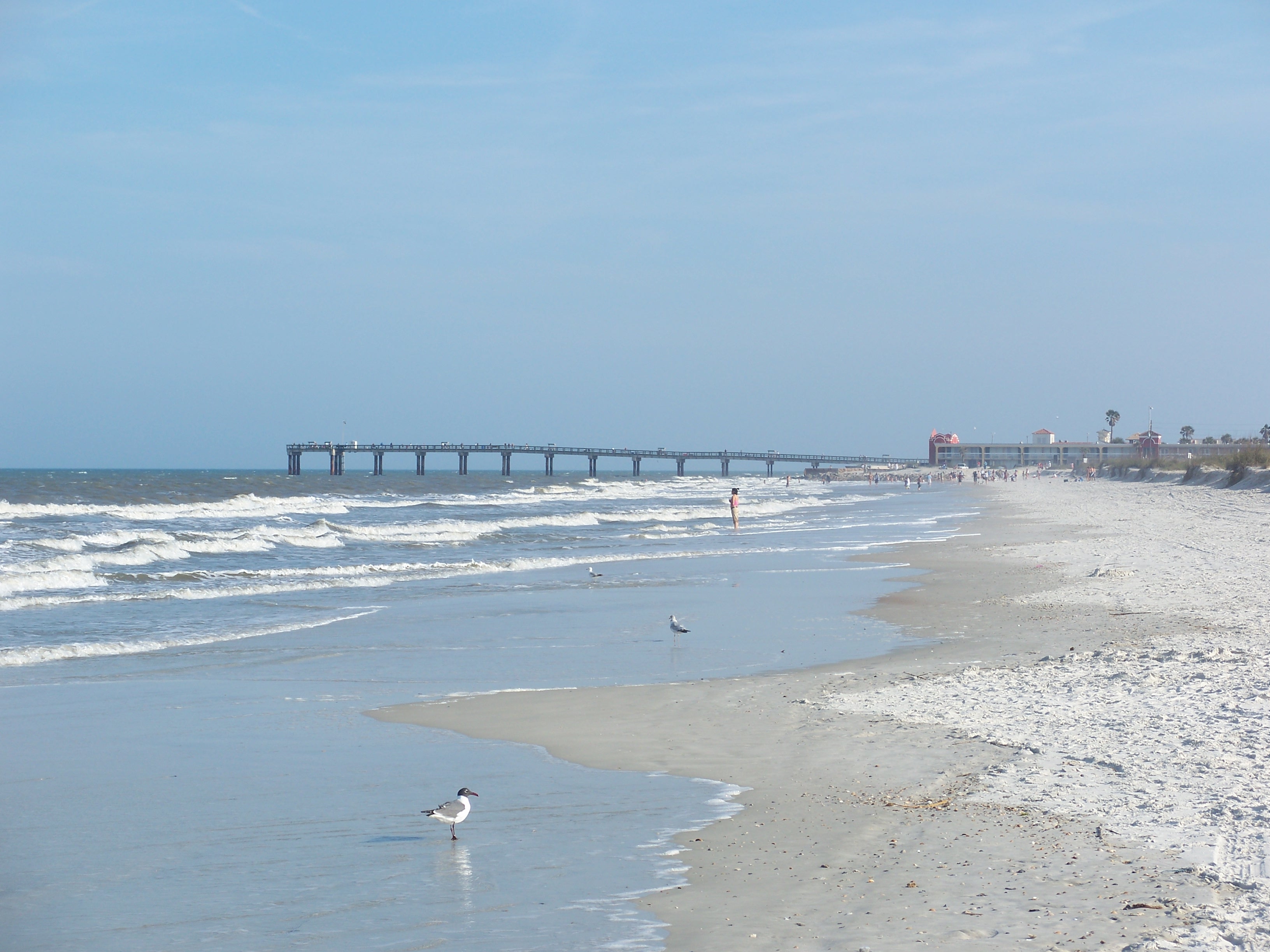 Anastasia State Park (Image Credits: Wikimedia)